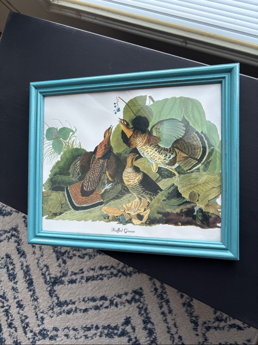 Vintage Ruffed Grouse Bird Print in Turquoise Frame
